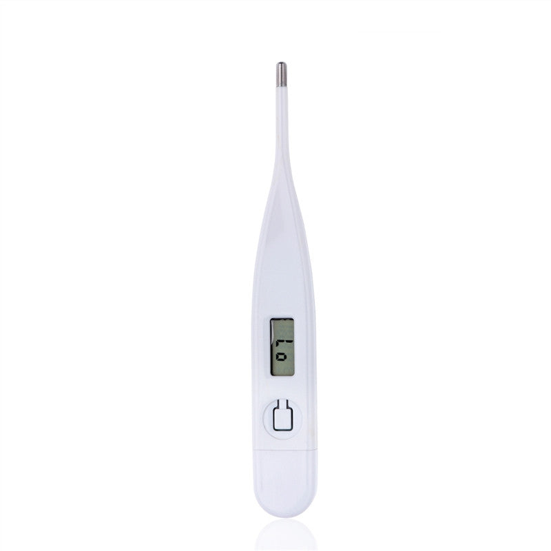 Digital Thermometer